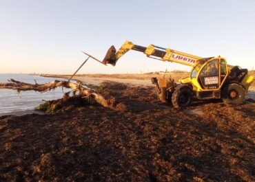 Salinera Española proceeds with the removal of driftwood at the La Llana beach.