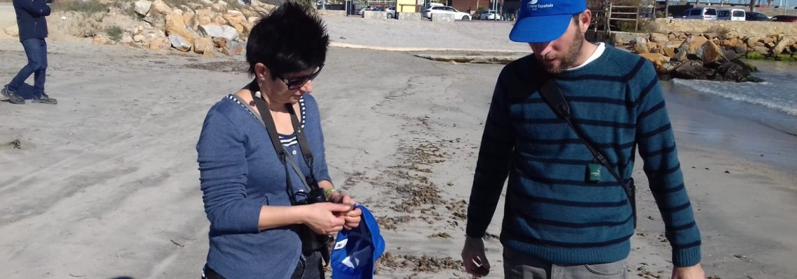 Networking4 Networking4