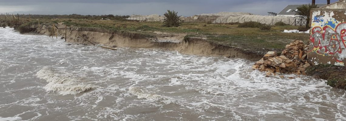 WhatsApp Image 2020-01-20 at 10.27.42 AM (1)