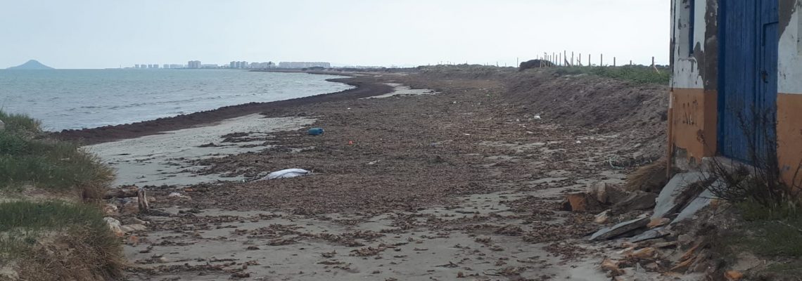 WhatsApp Image 2020-03-30 at 7.44.10 PM